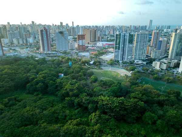 Les subventions gouvernementales pour l'achat de voitures électriques