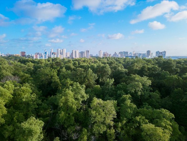 Comment tirer profit des ateliers de Pôle Emploi ?