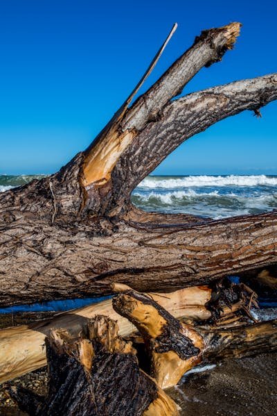 Profitez de la bûche calorifique leroy merlin pour un confort optimal