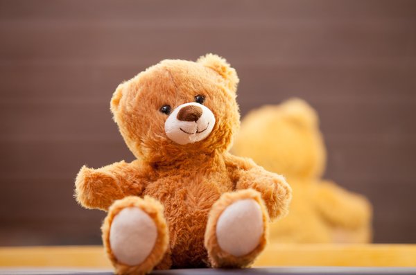 Offrez à vos enfants ce tendre ours en peluche à adopter