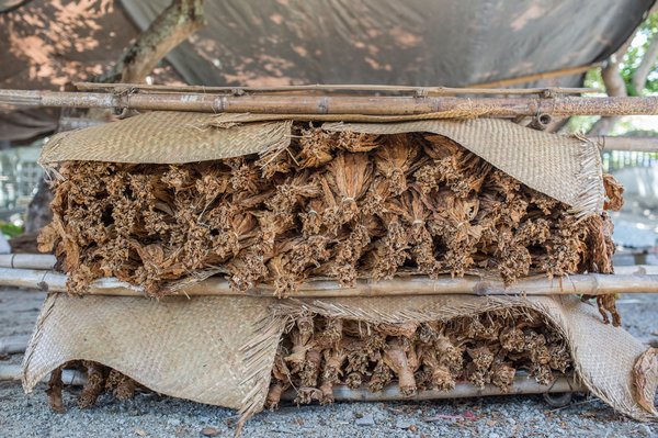 Les raisons essentielles d'inclure un bureau de tabac dans vos voyages